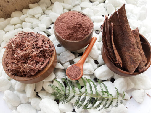 mimosa hostilis root bark powder
