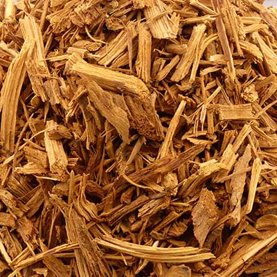 Banisteriopsis Muricata vine from Amazon rainforest – premium natural botanical at mimosaroot.online